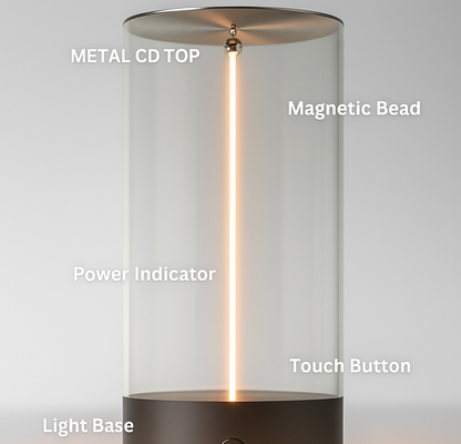 Magnetic lamp light